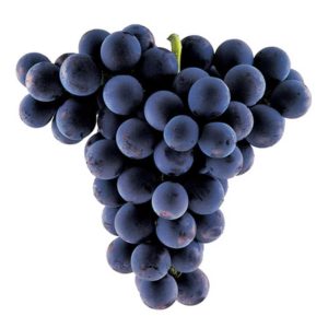 black-sedless-grapes-bunch-each2
