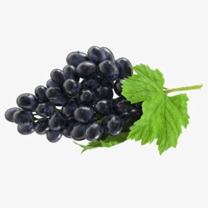 black-sedless-grapes-bunch-each3