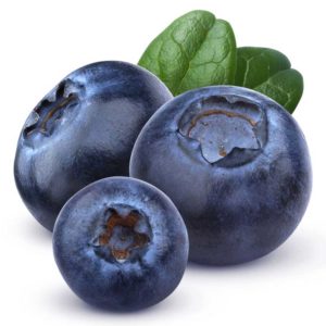 fresh-blueberries2
