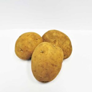 macro-sebago-organic-potato5