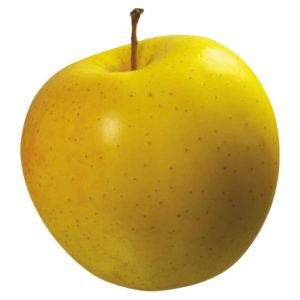 yellow-apple4