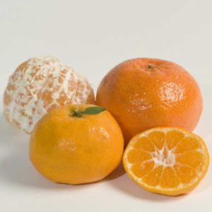 afourer-mandarines-4