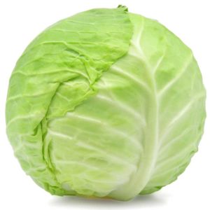 cabbage-green-1