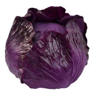 cabbage-red-4