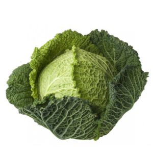 cabbage-savoy-1