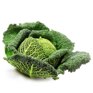 cabbage-savoy-2