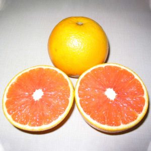 cara-cara-orange-2