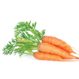 carrot-fresh3