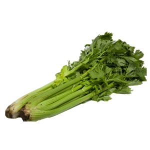 celery-fresh-bunch3
