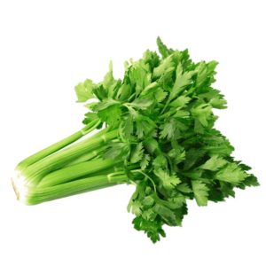 celery-fresh-bunch5