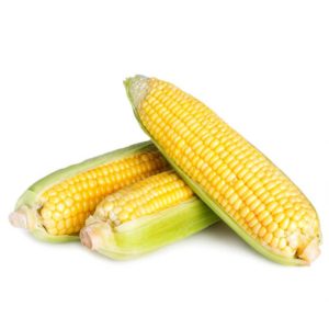 corn-sweet-2