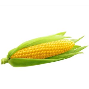 corn-sweet-4