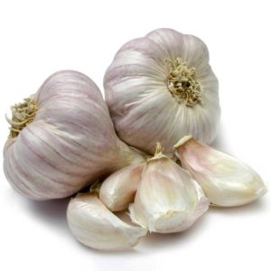 garlic-head–1