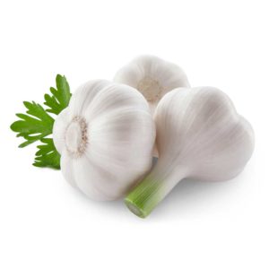 garlic-head–2