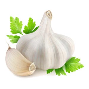 garlic-head–4