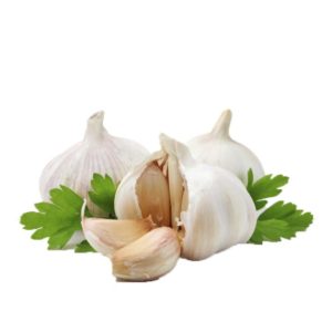 garlic-head–5