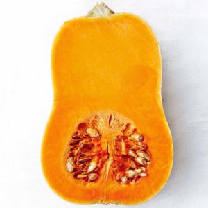 pumpkin-butternut4