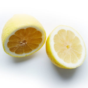 french-lemon-5